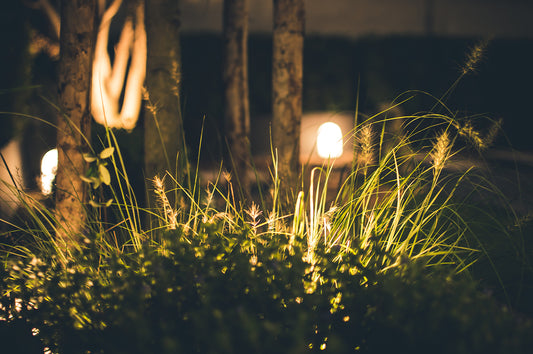 garden with fairytale lighting