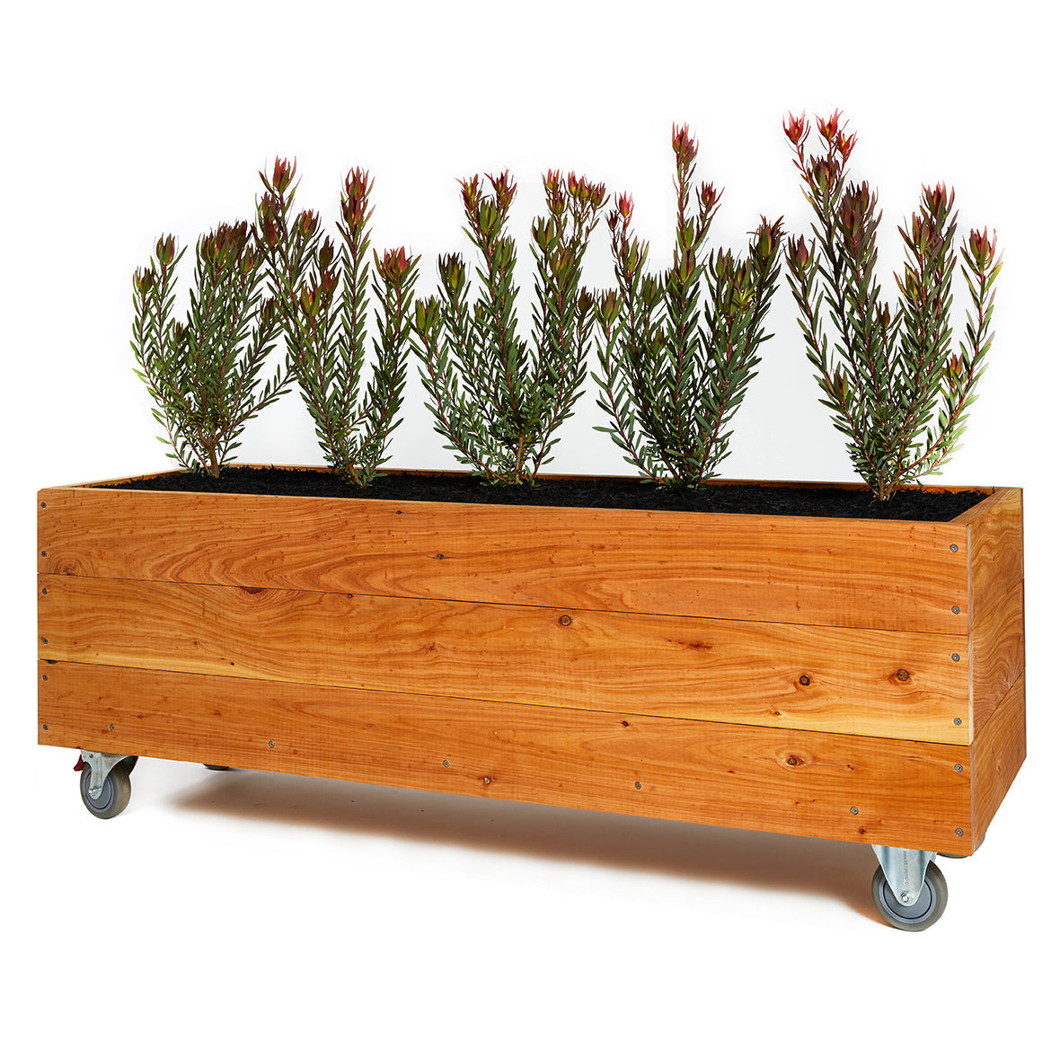 The Balcony Box