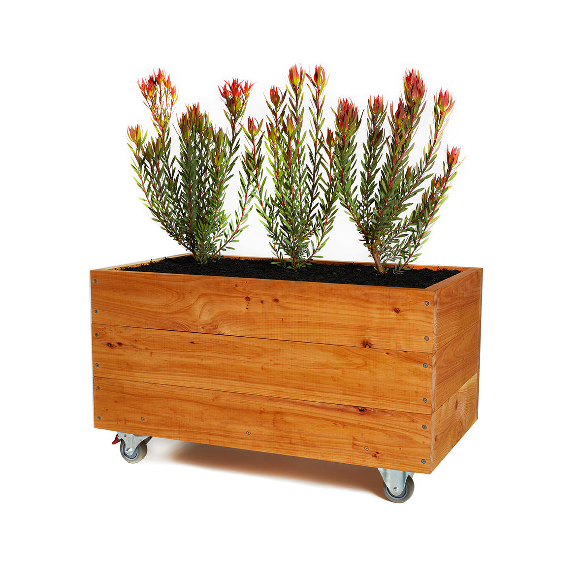 The Balcony Box