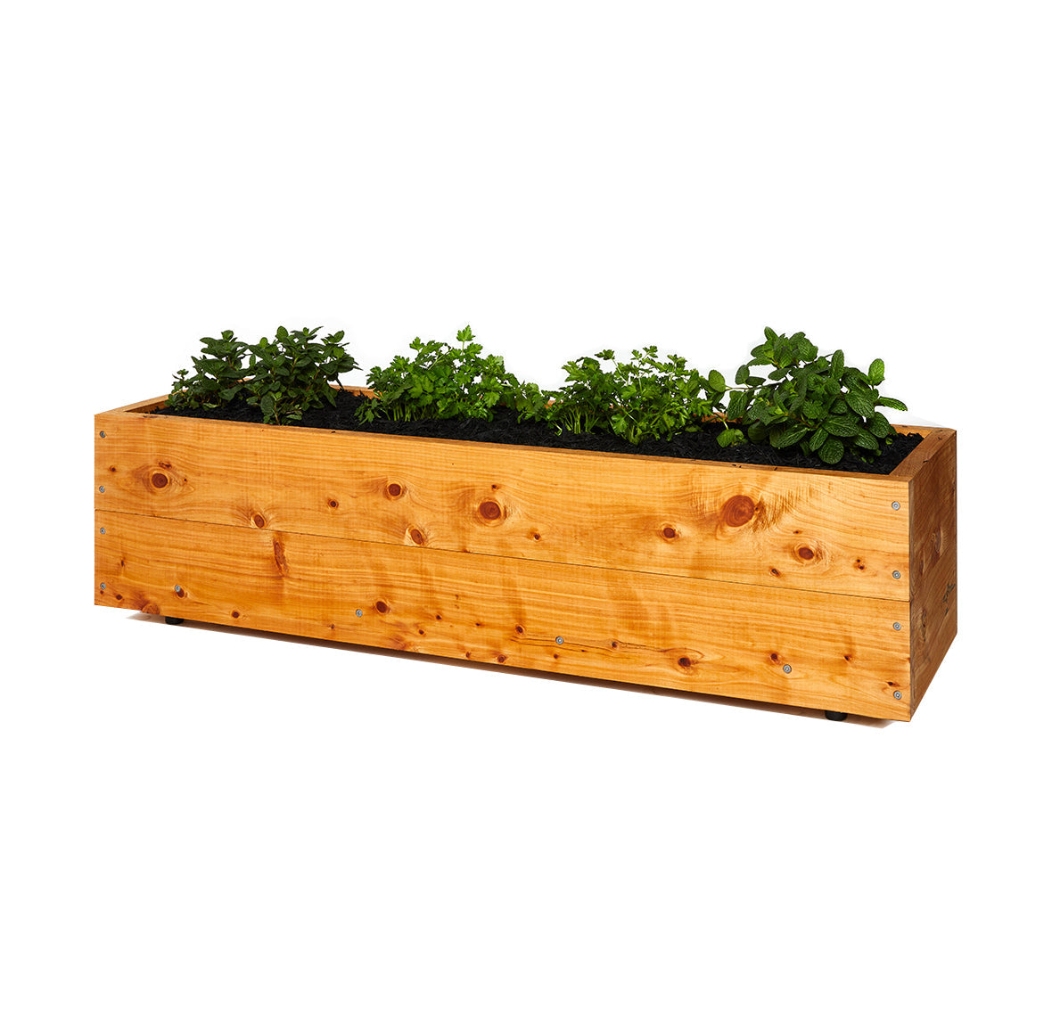 Cypress Herbivores
