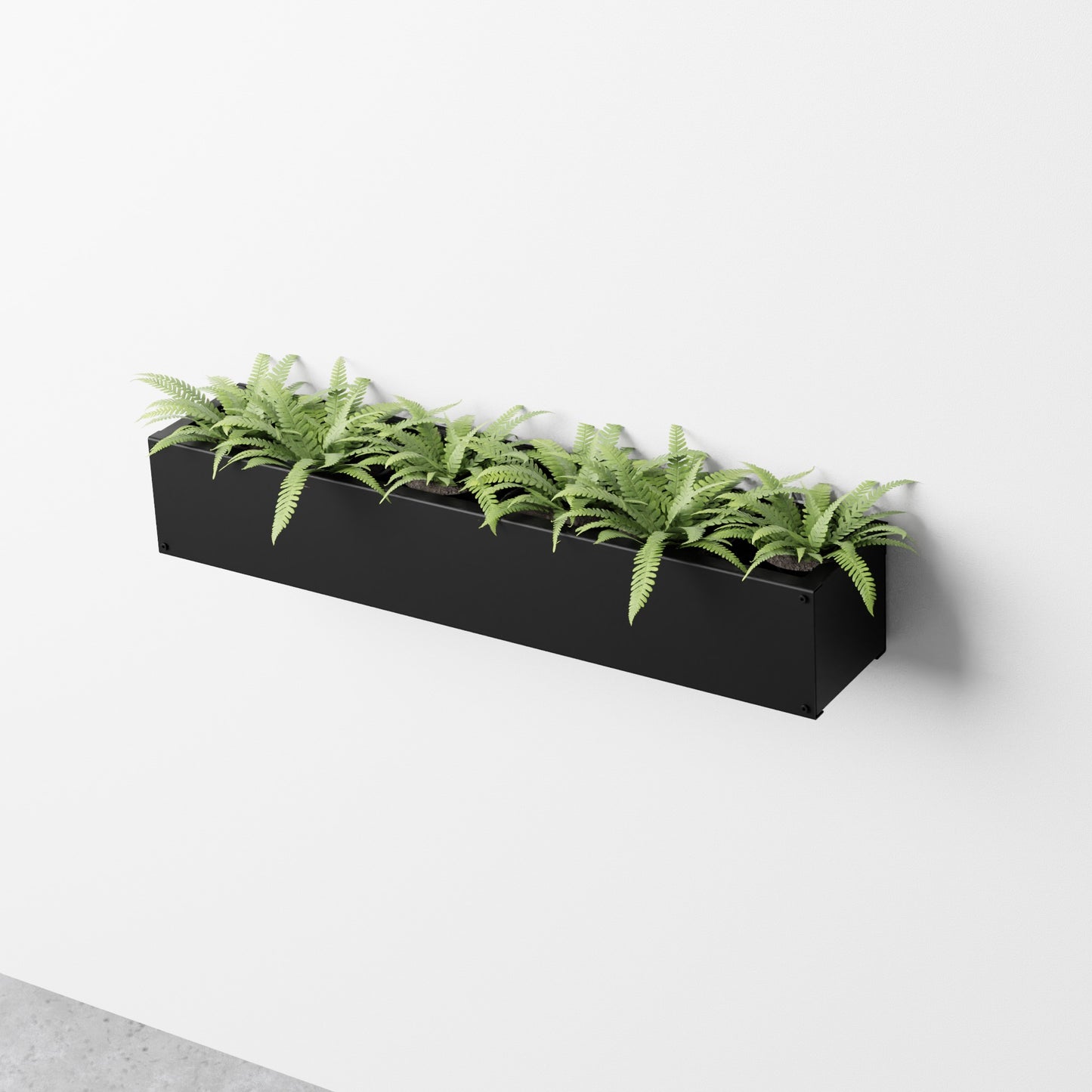 Wall Planter