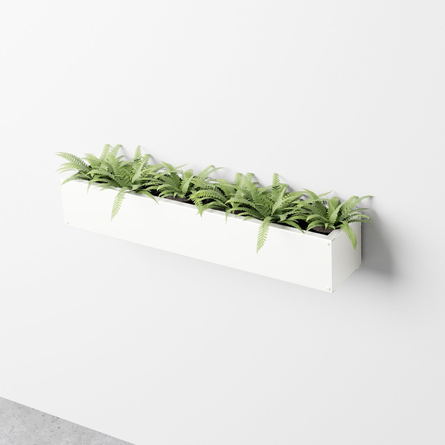 Wall Planter
