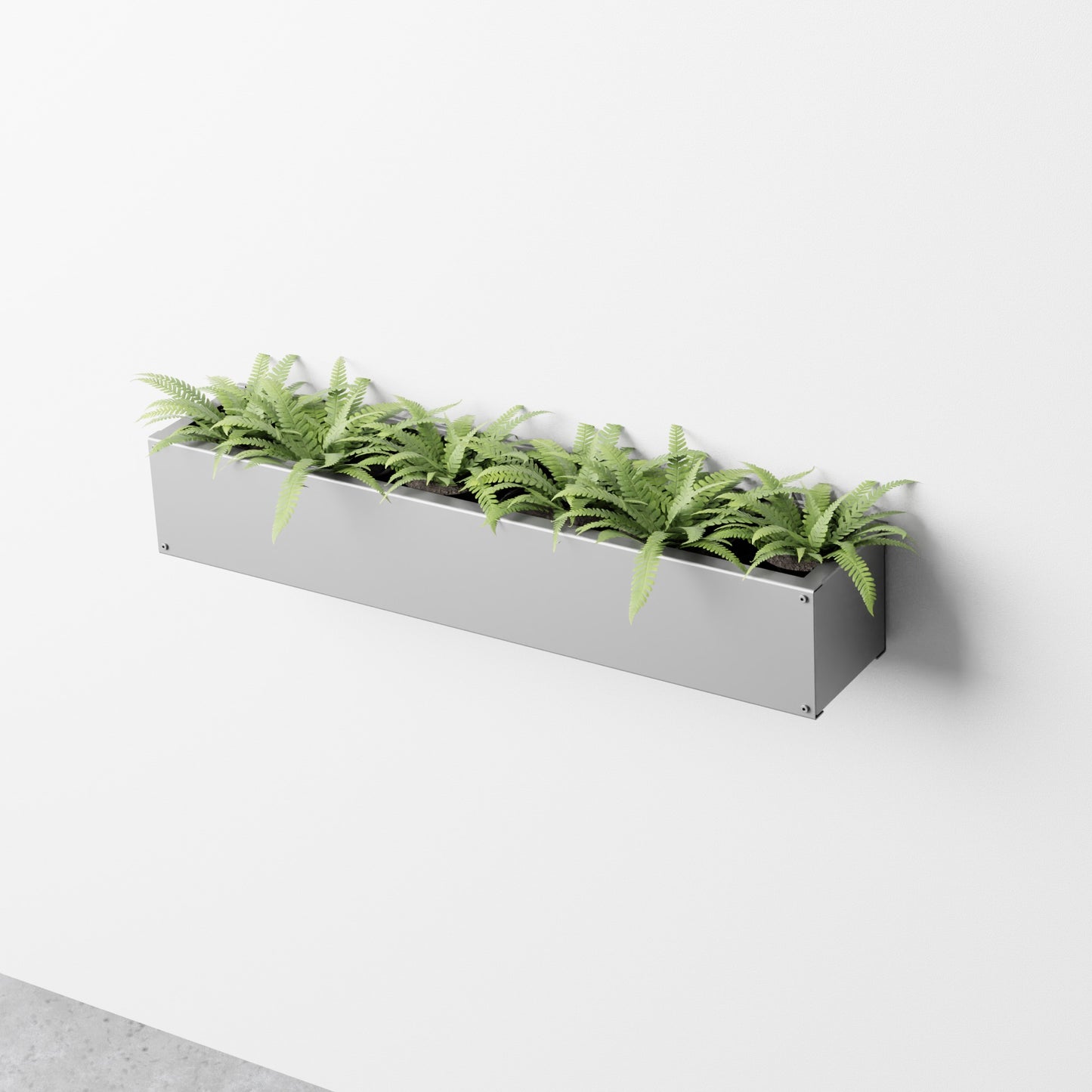 Wall Planter