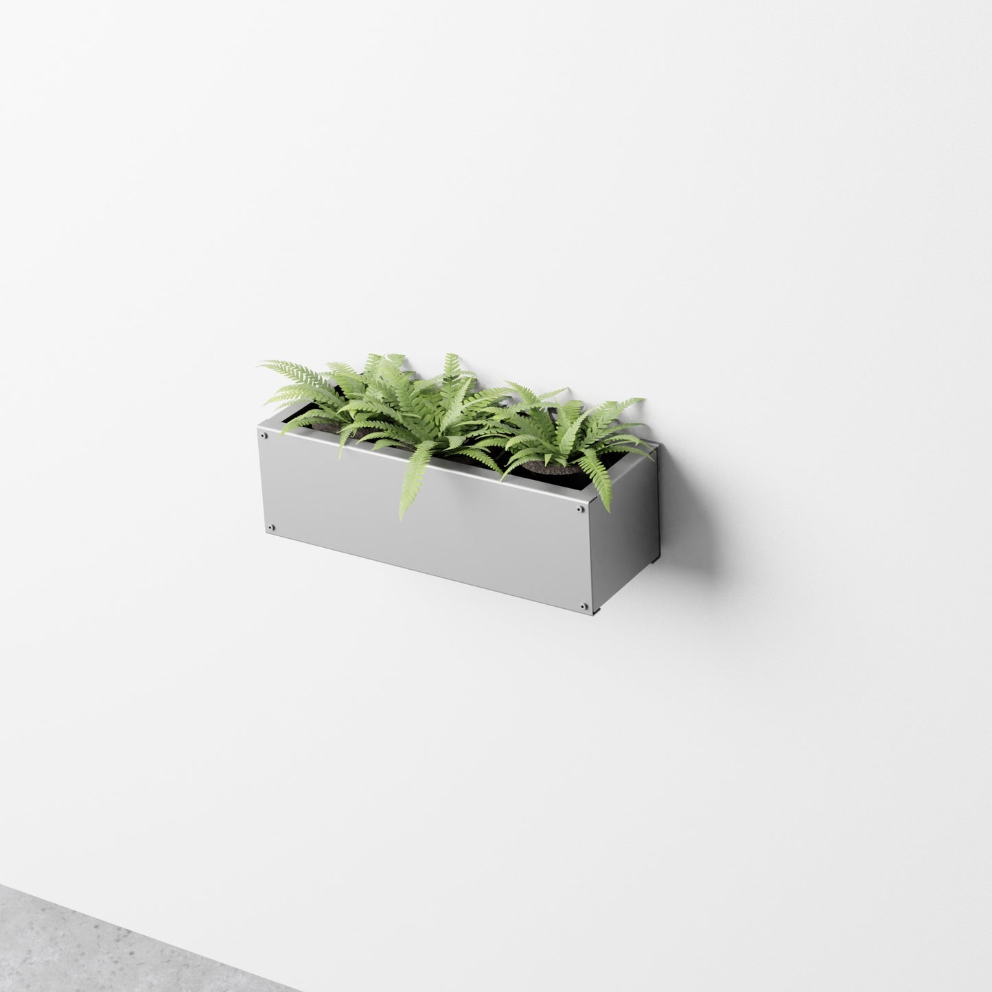 Wall Planter