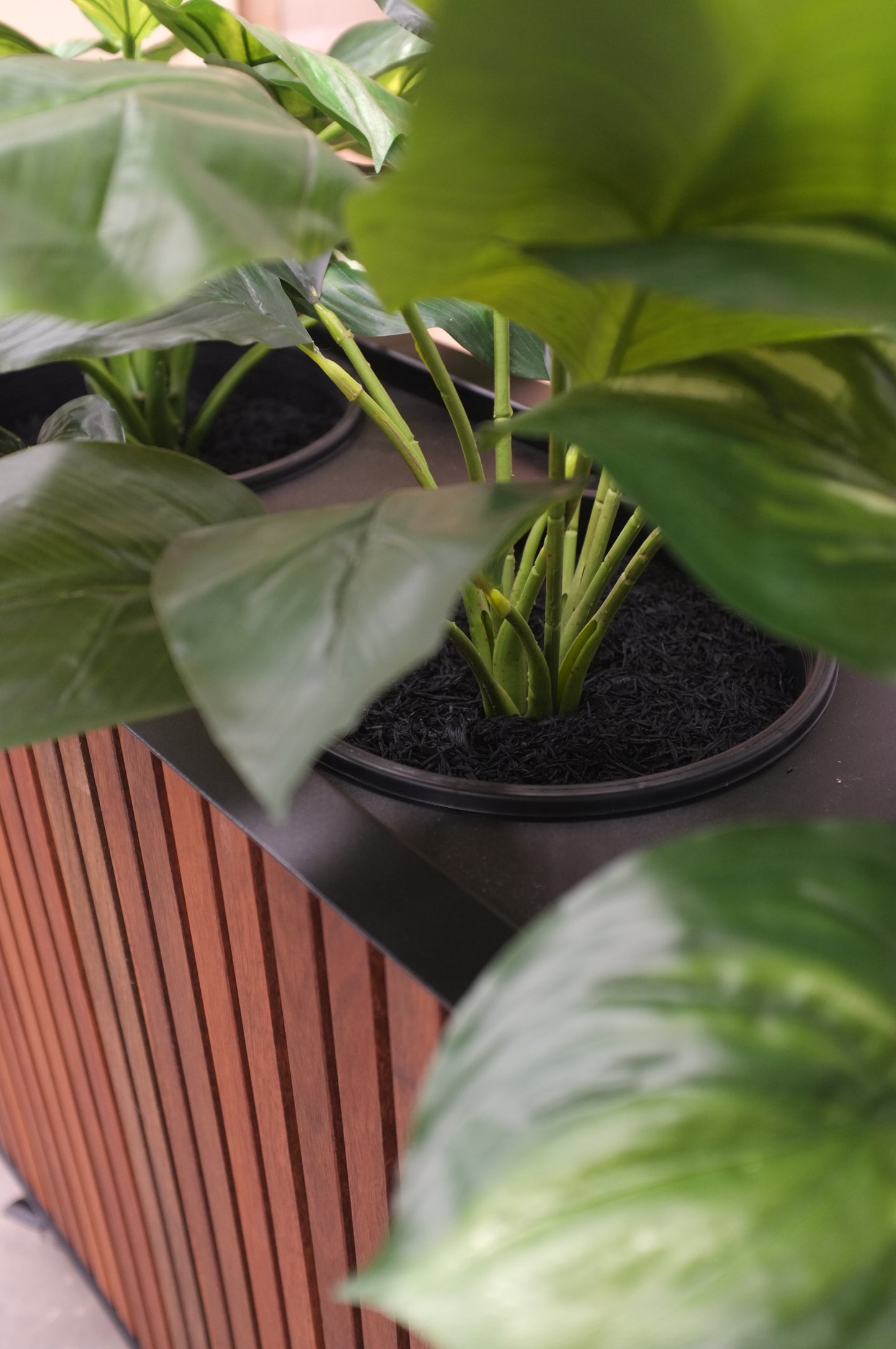 Artificial Plant Kit