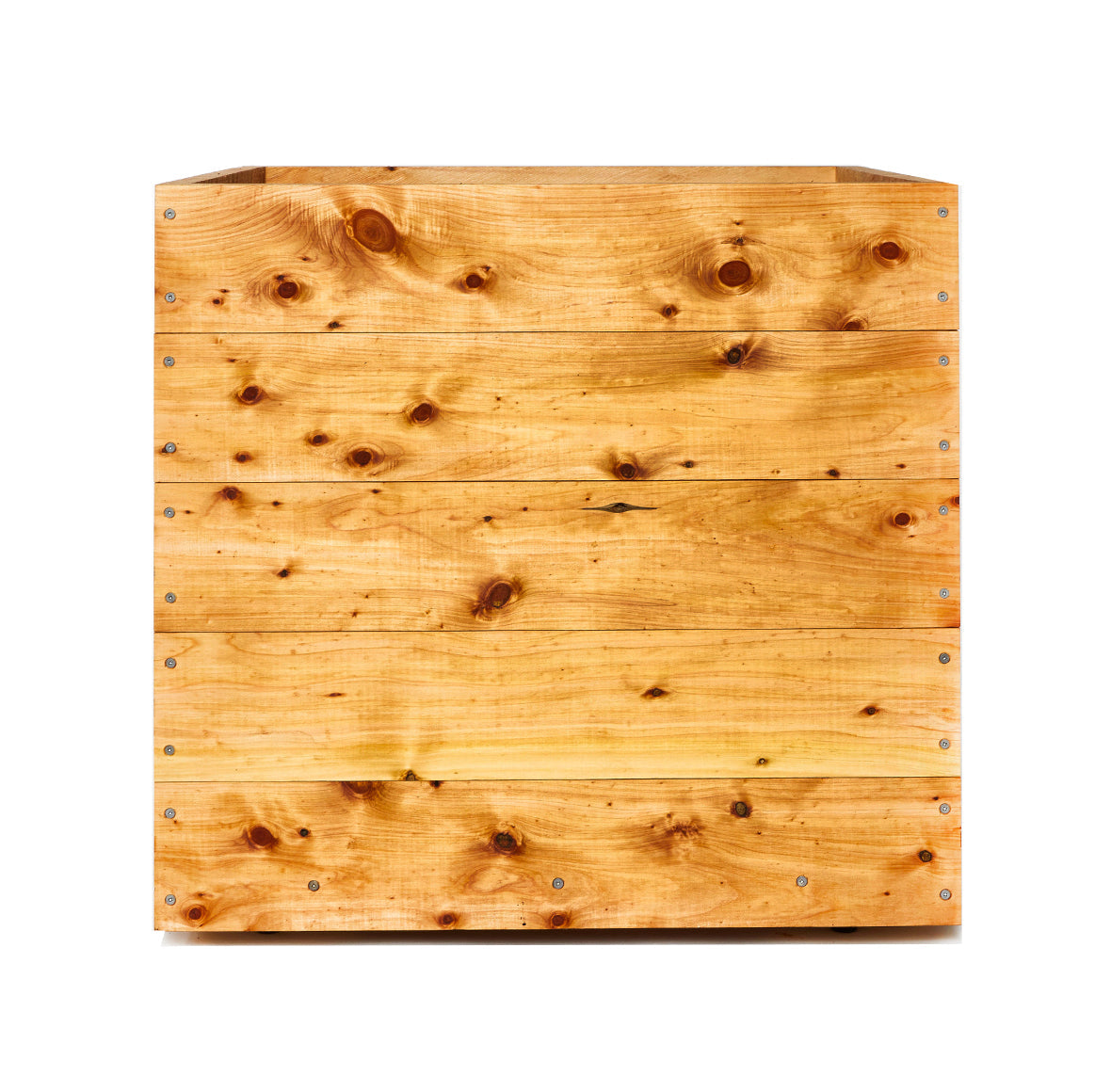 Cypress Cubes