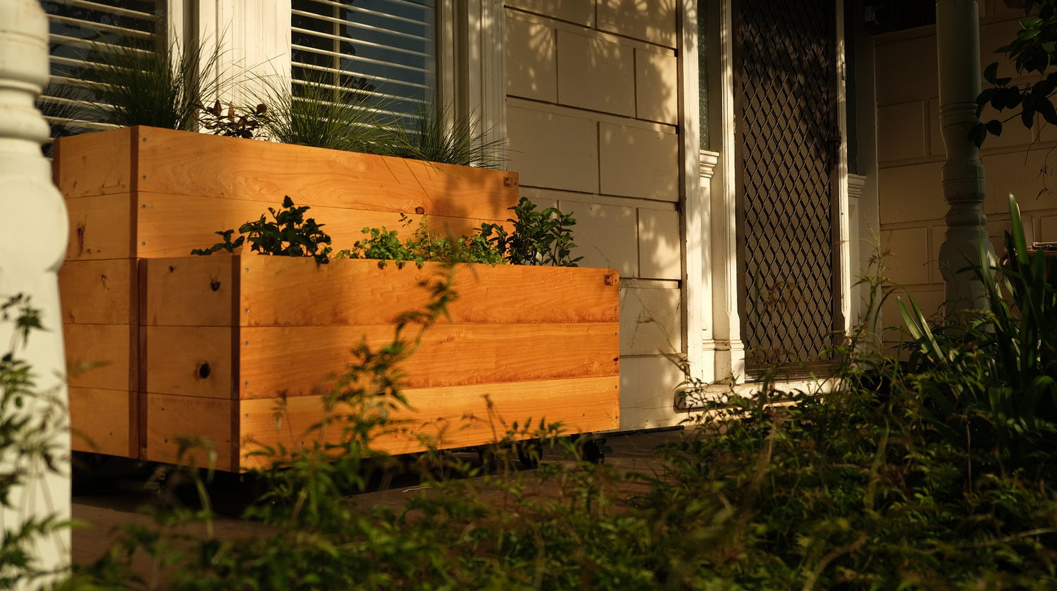 Herb Junior and Herb Senior timber planter box getting morning sun on front balcony of residential house. Planted with variety of fresh herbs ready for eating. Lined with a drainage lining ready to plant. 