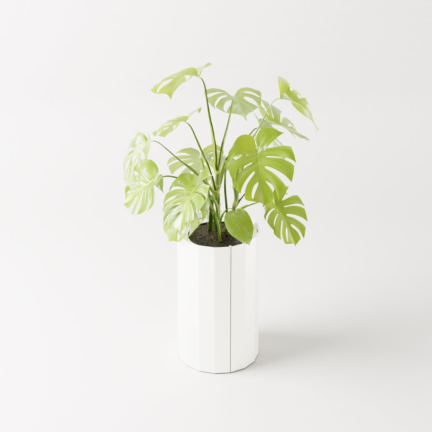 Furl Planter