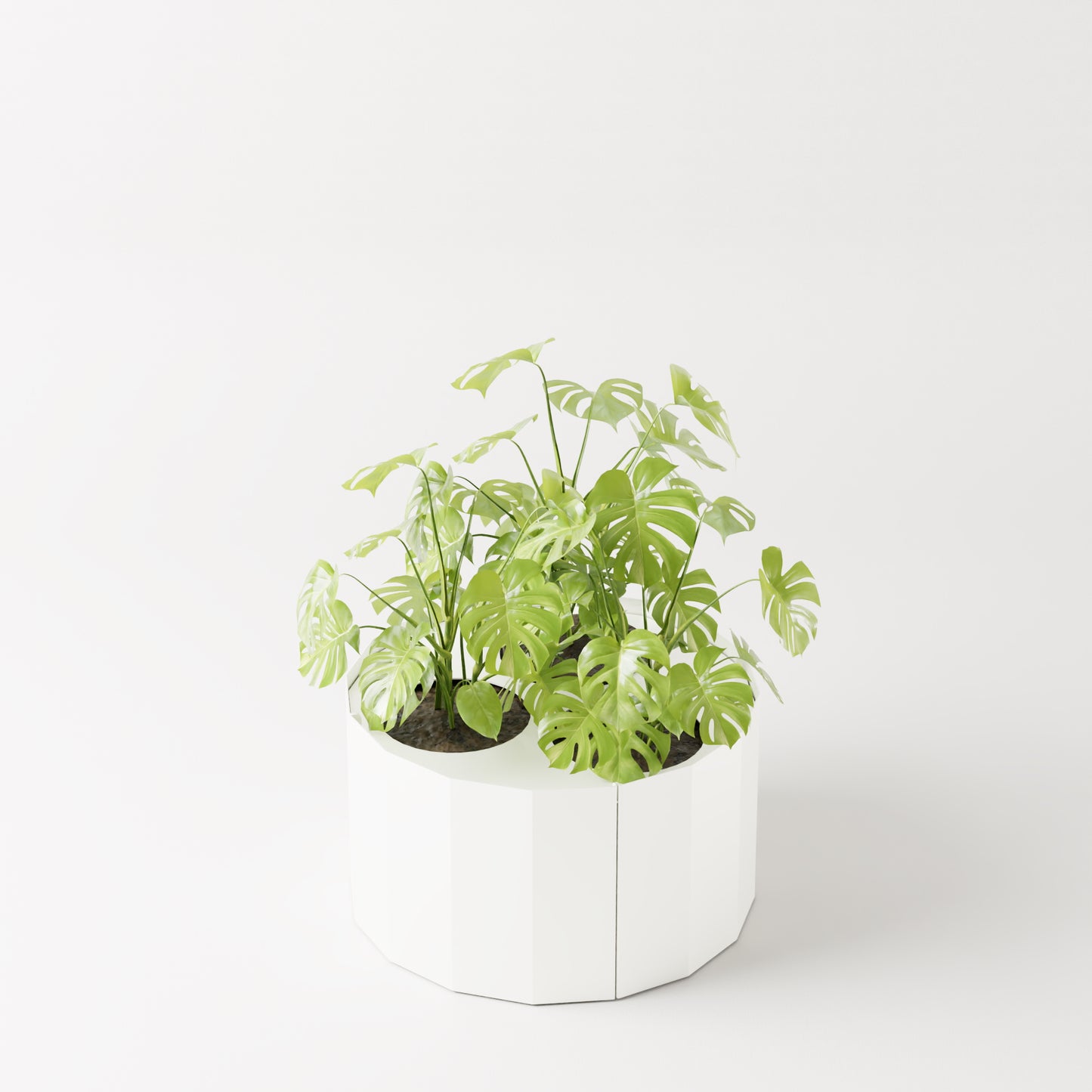 Furl Planter