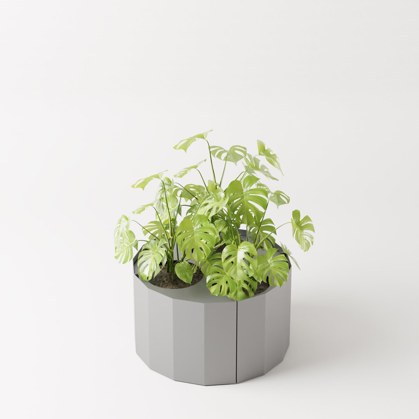 Furl Planter