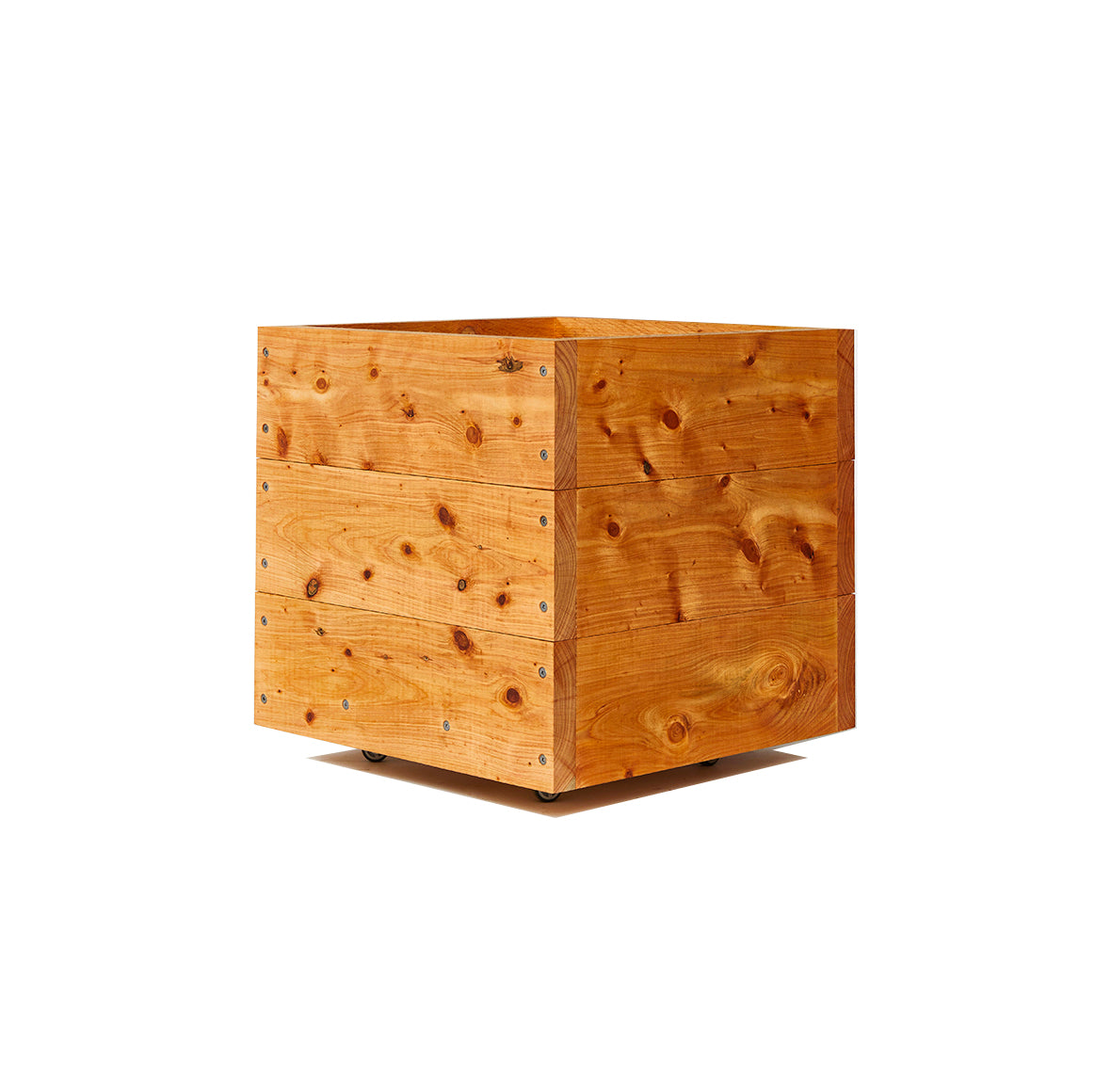 Cypress Cubes