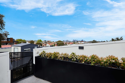 Designing an Architectural Roof Top Garden