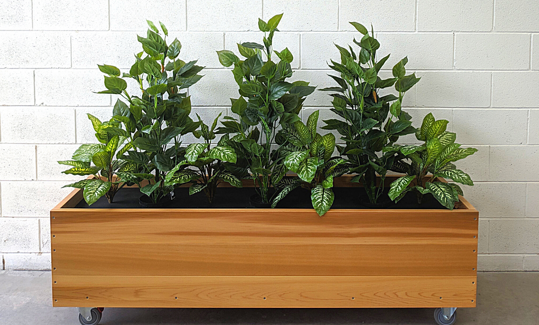 The 5 best plants to grow in planter boxes