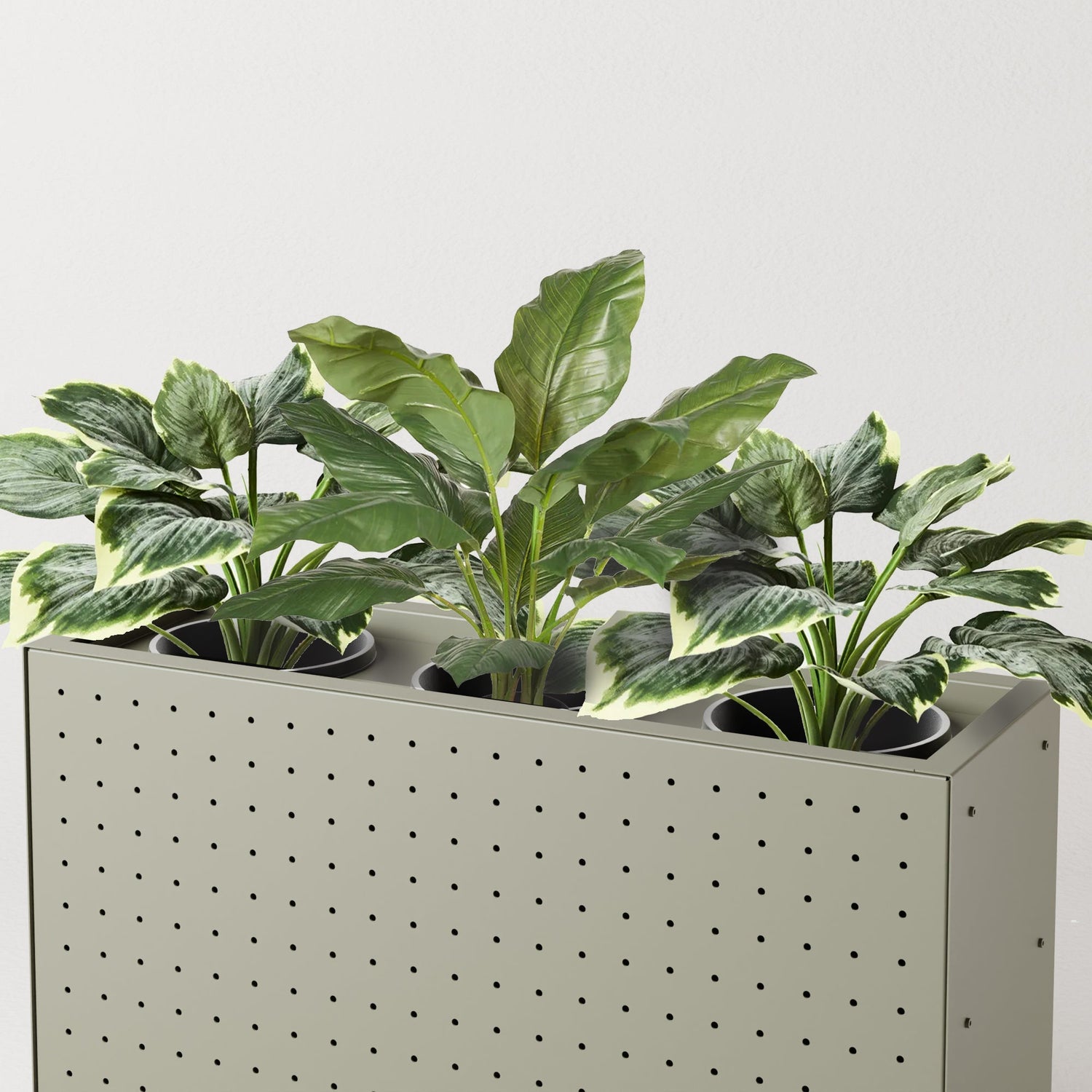 Plant Kits