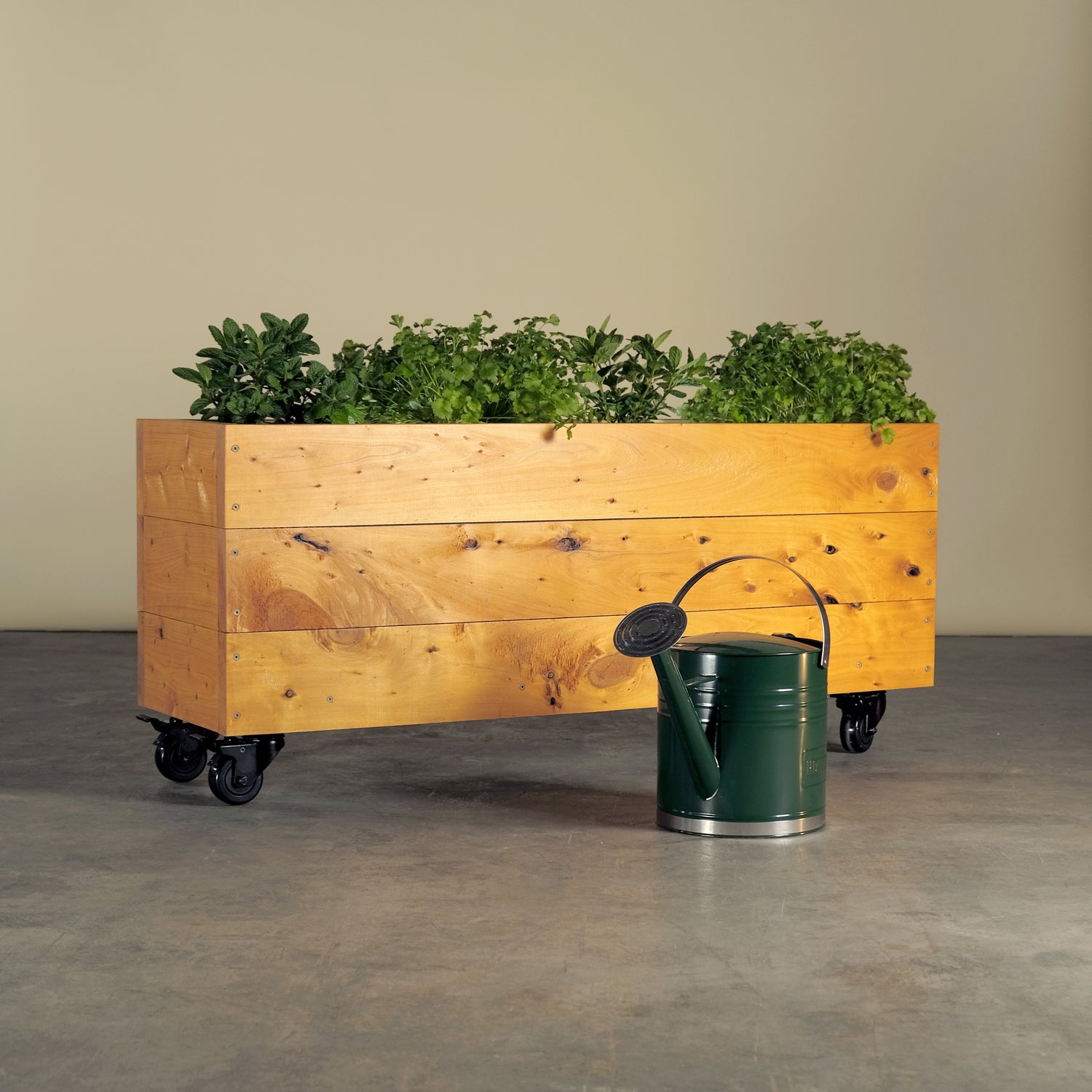 Timber Planter Boxes