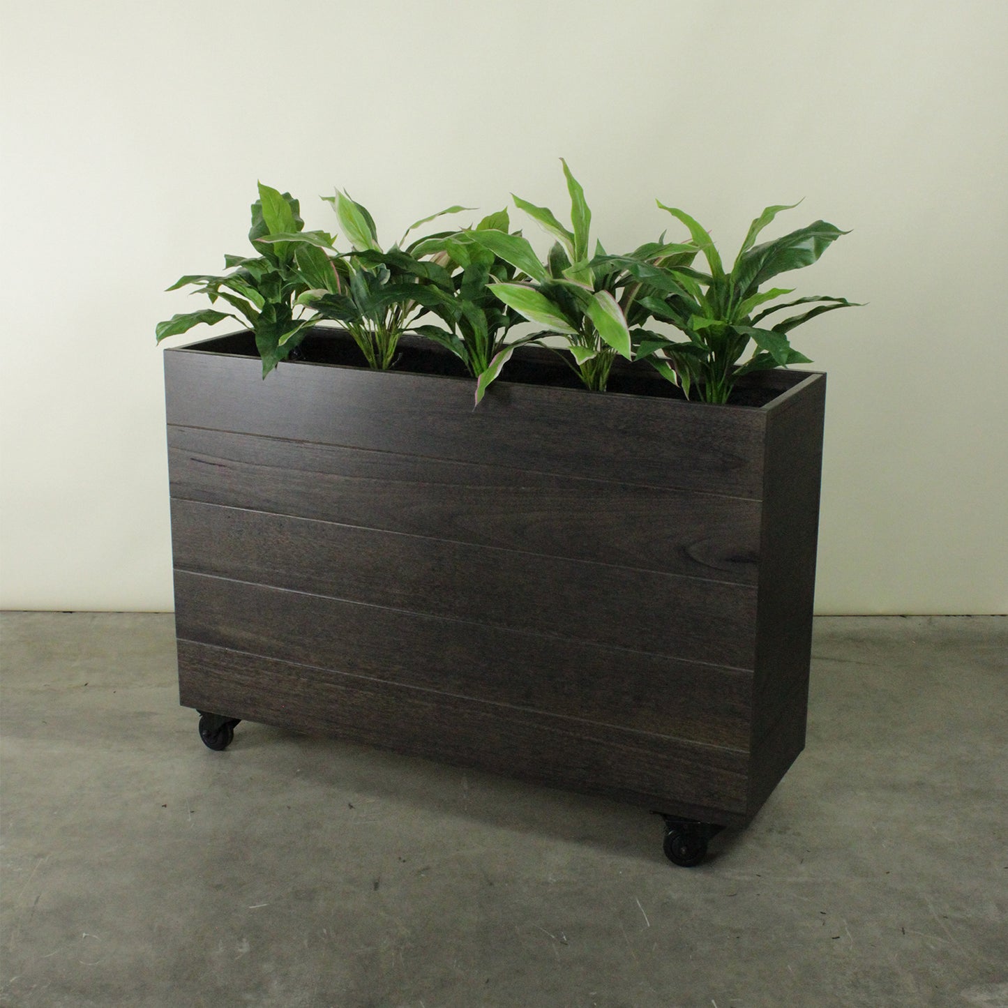 Hardwood Planter Barrier with Plants