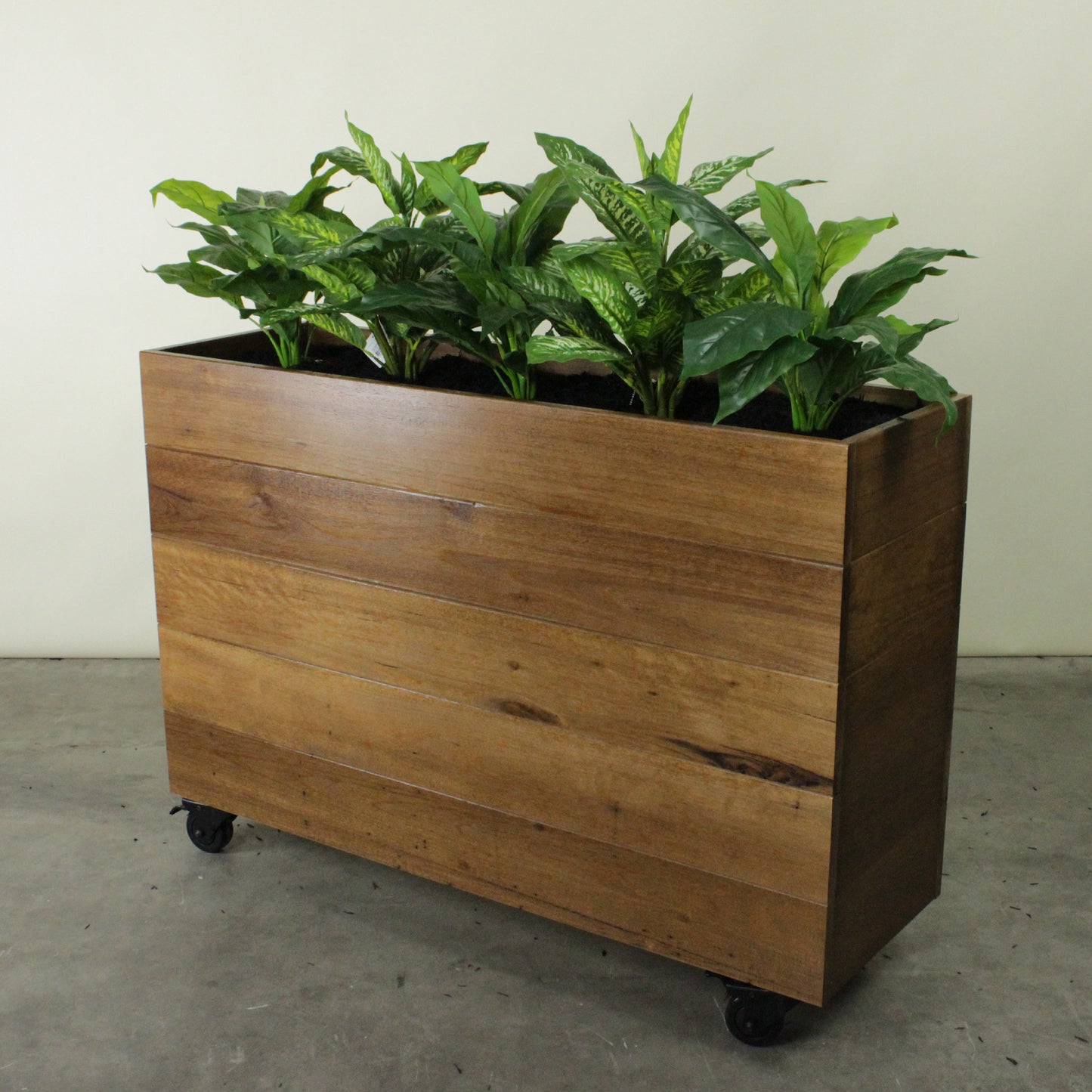 Hardwood Planter Barrier with Plants