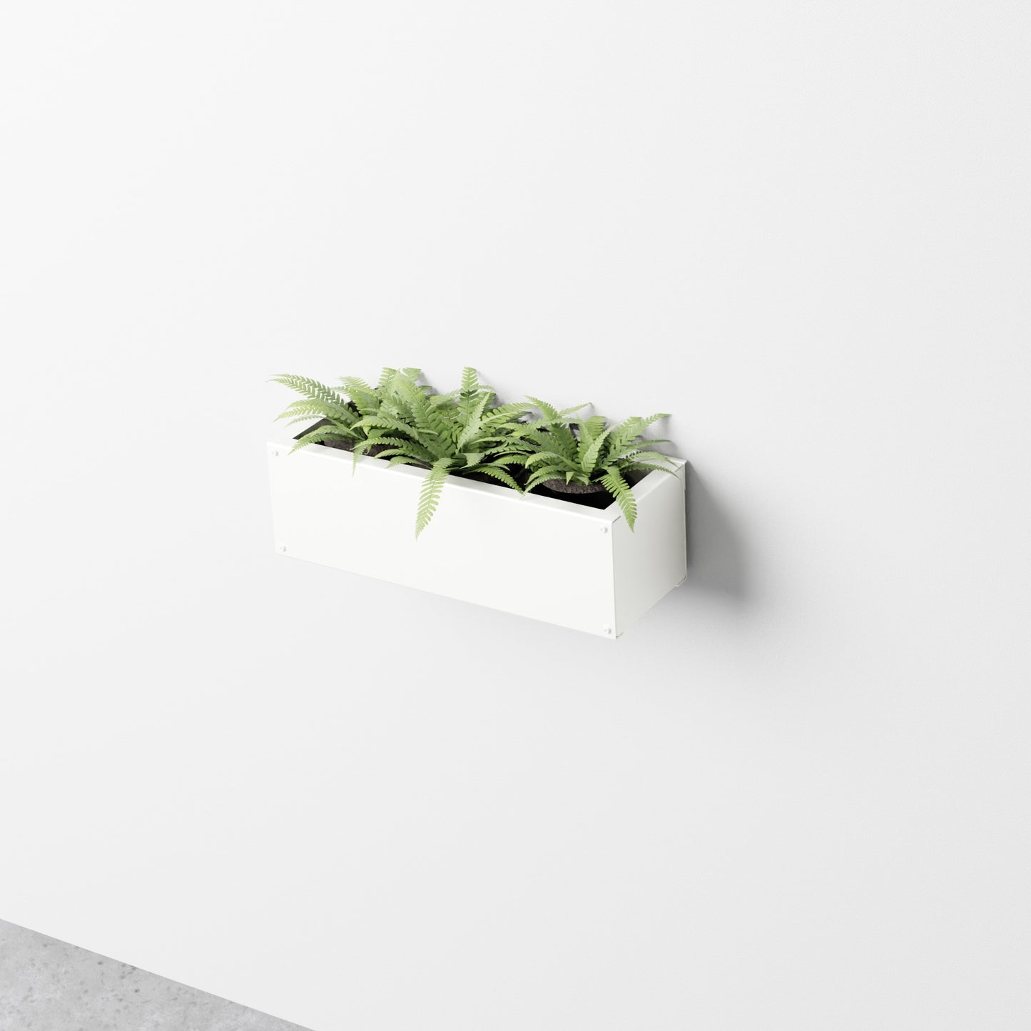 Wall Planter