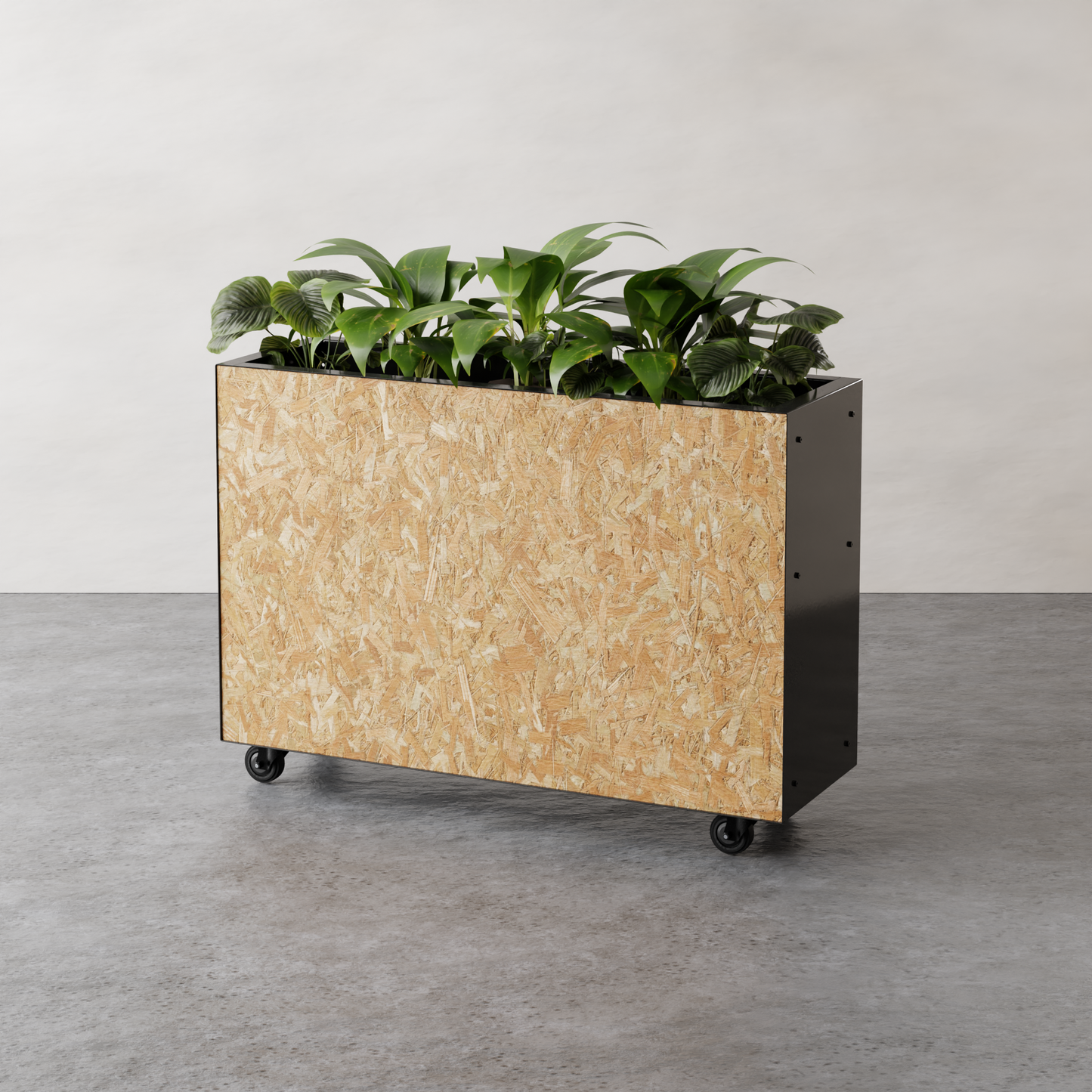 Allo OSB Barrier Planter