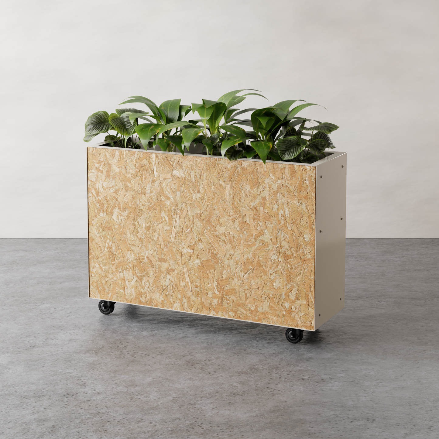 Allo OSB Barrier Planter