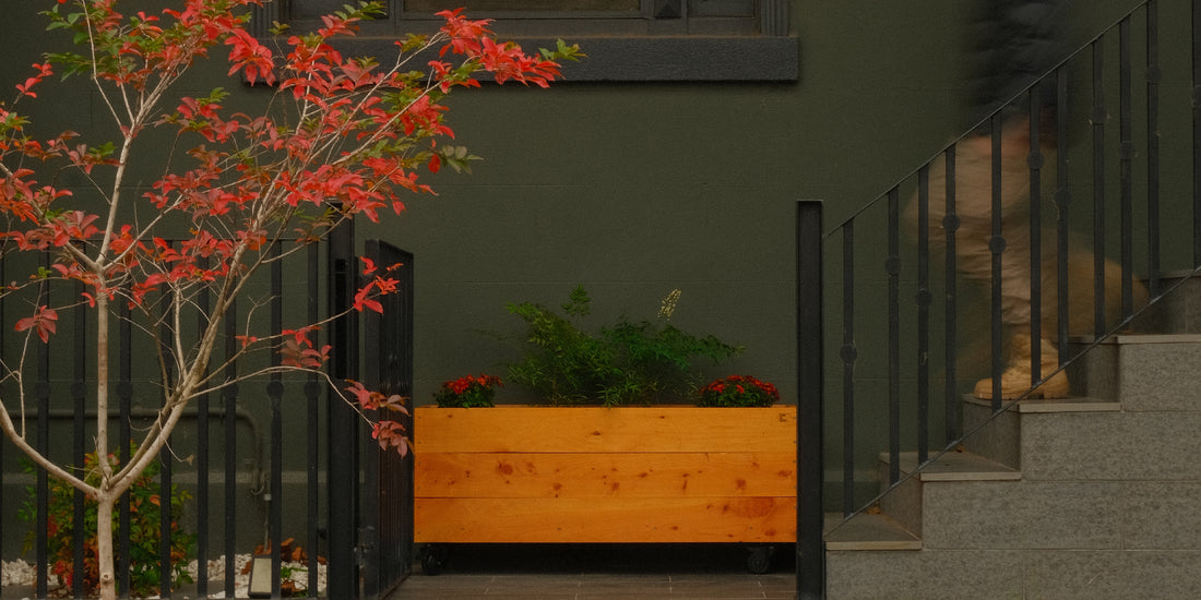 Timber Planter Boxes – Bloom Box Products