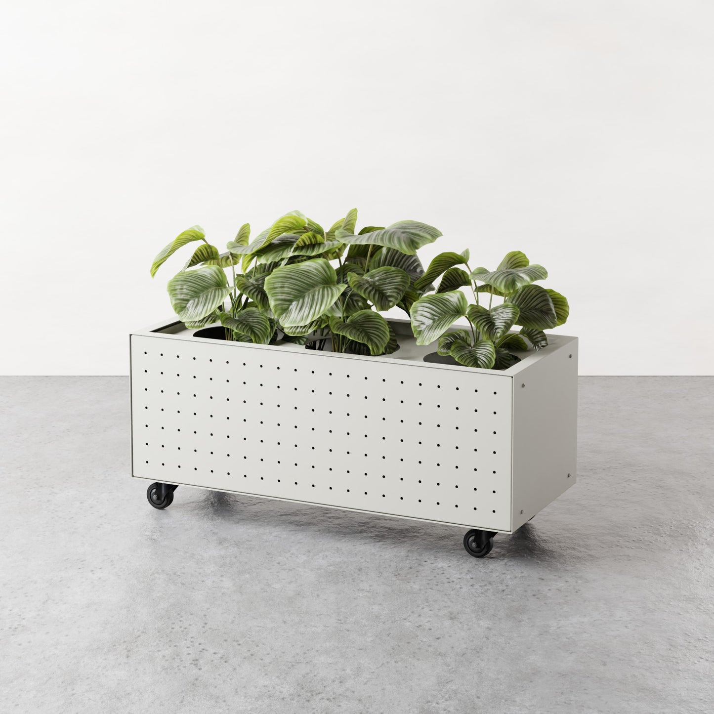 ALLO Perf Low Planter