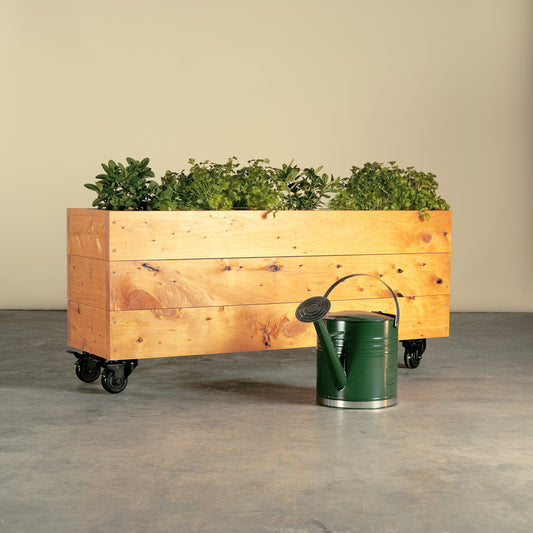 Small wooden planter box made from sustainable cypress, this veggie patch on wheels is perfect for growing herbs and vegetables in small gardens balconies or rooftops. Supplied with a liner, exterior oil and wheels this box is ready to start growing.