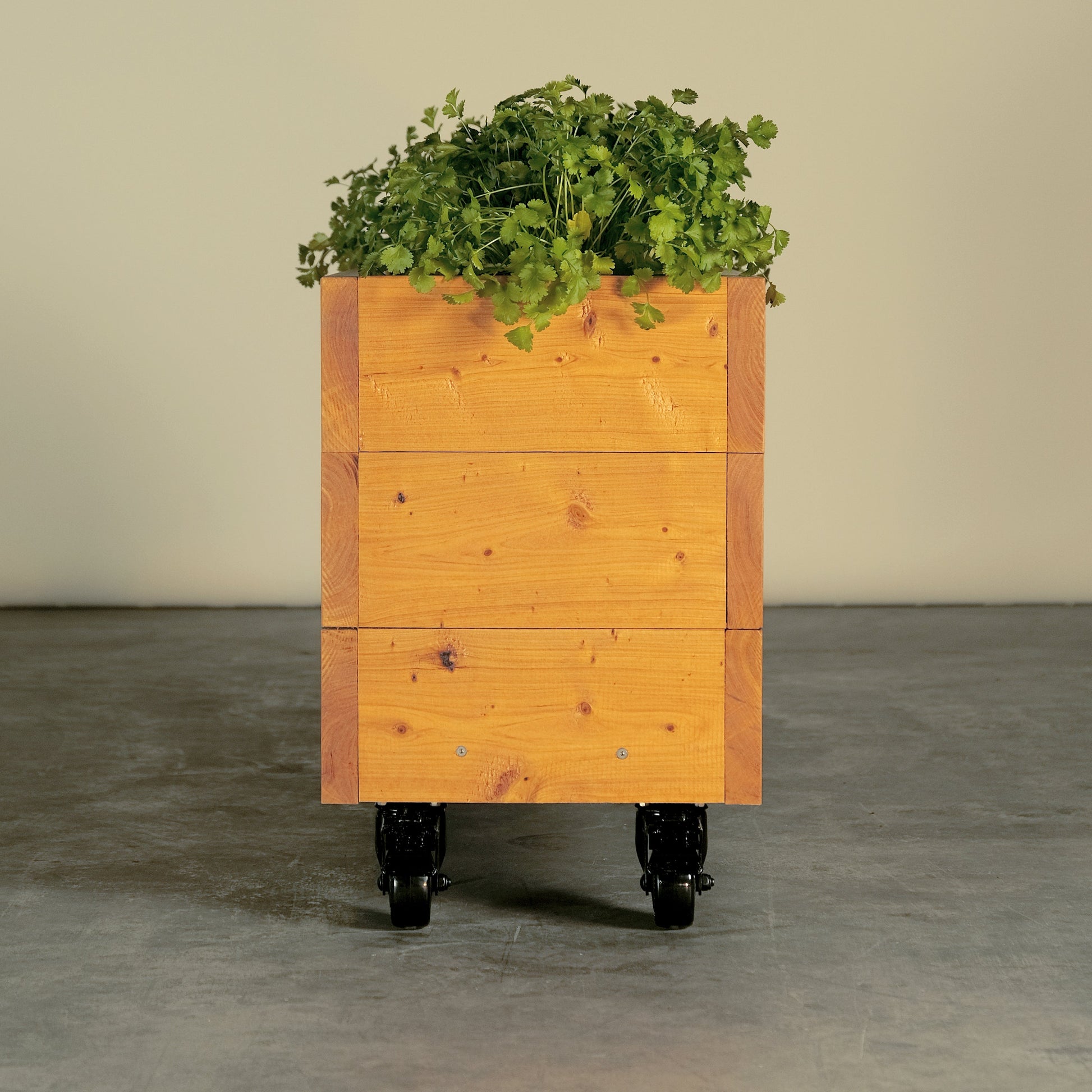 skinny end of our herb junior timber veggie box on wheels. Wide enough to plant your herbs and plants but small enough for tight spaces, balconies, decks, terraces and rooftops. Its on wheels so you can roll it around all year and chase the sun. 