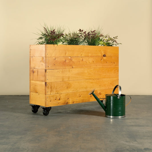 Tall wooden café style planter box made from sustainable cypress, this café barrier on wheels is perfect for growing herbs and flowers on footpaths, alley ways, small gardens balconies or rooftops. Supplied with a liner, exterior oil and wheels this box is ready to start growing.