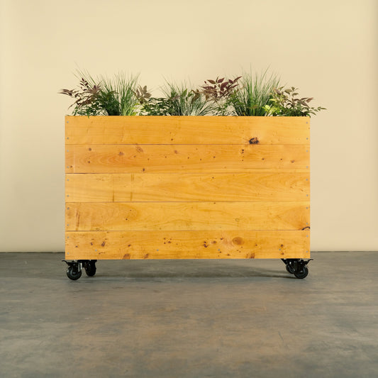 Cypress barrier box on locking wheels. Planted with decorative Australian natives. Don’t worry about what to line a planter box, ours are already lined with a drainage liner. This box can also be used with potted plants that sit on a shelf. Ready for planting and in stock!