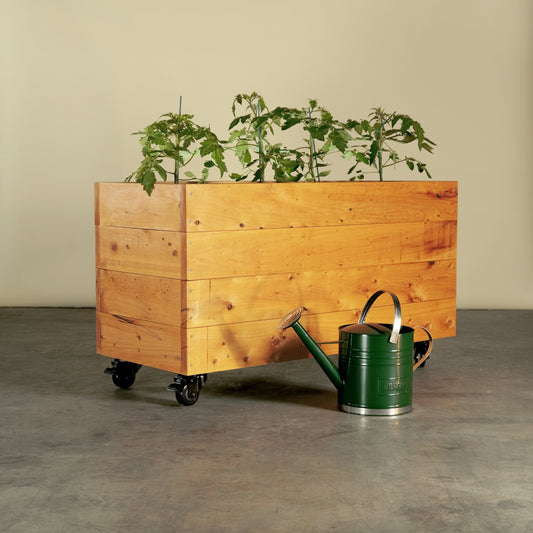 Cypress timber planter box on locking wheels. Planted with Tomatoes. Don’t worry about what to line a planter box, ours are already lined with a drainage liner. Ready for planting and in stock!
