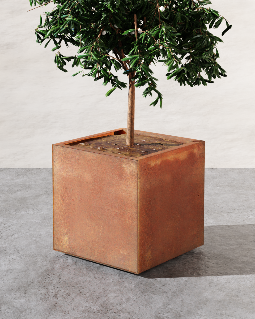 Corten Square Planters