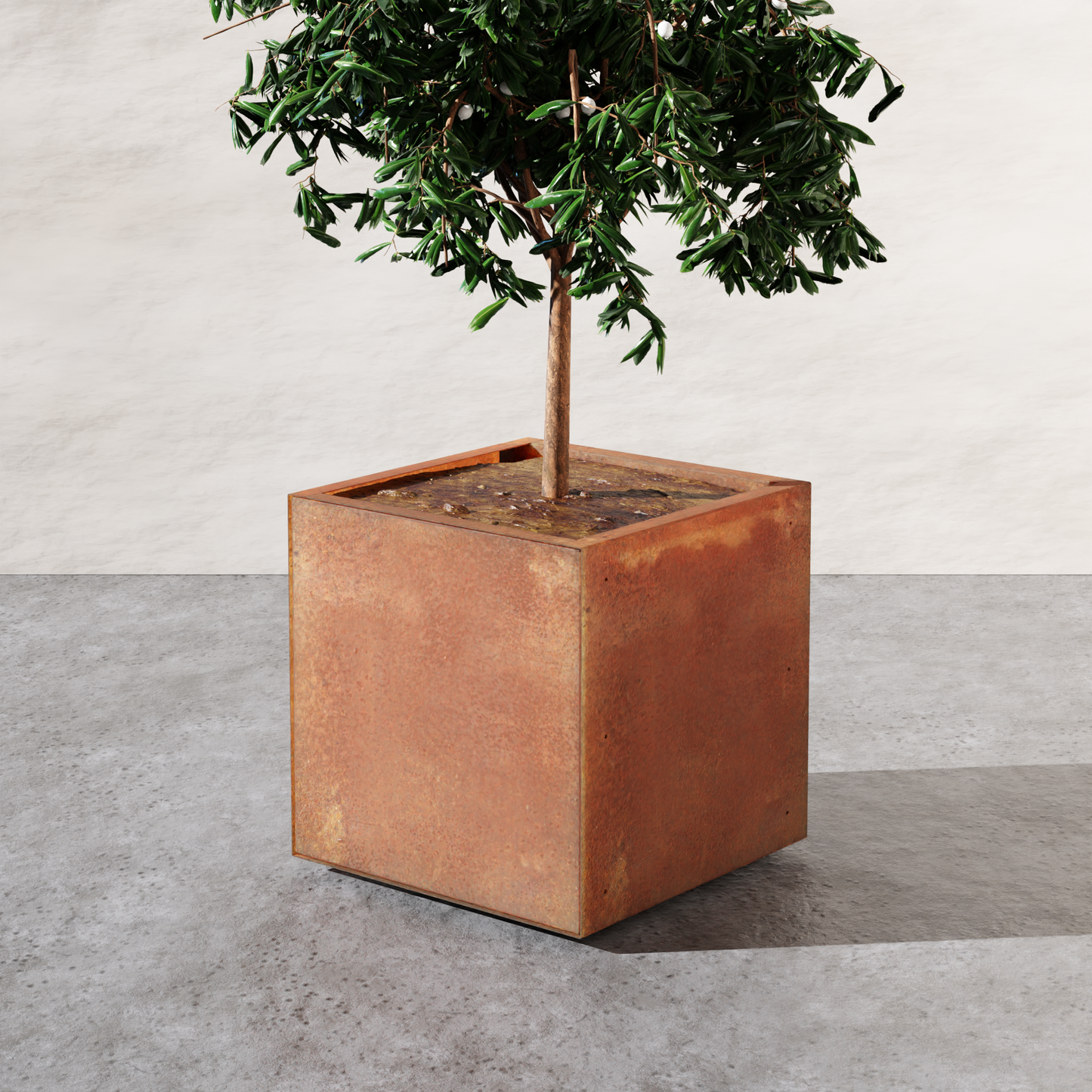 Corten Square Planters