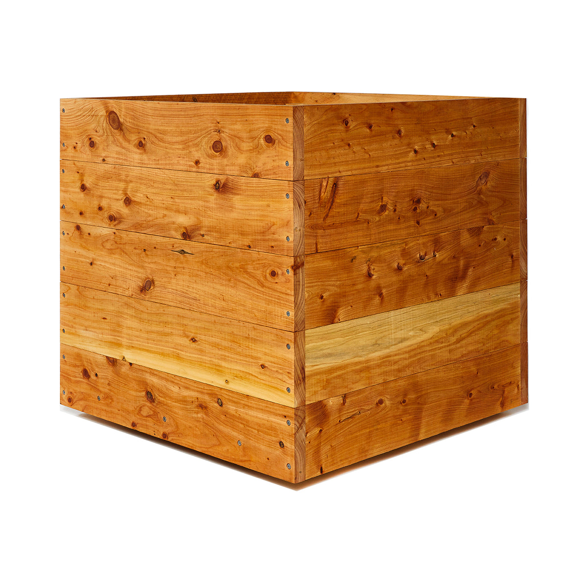 Cypress Cubes
