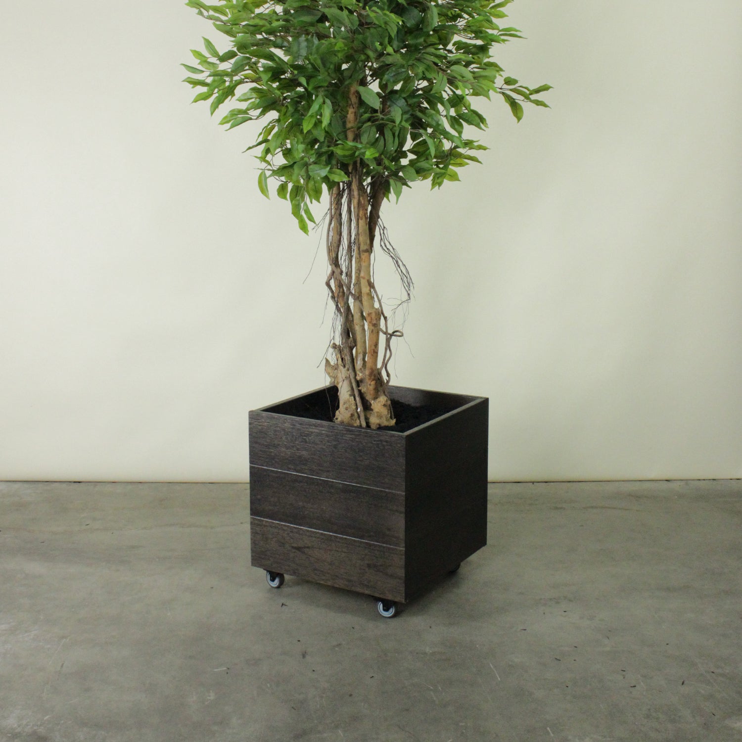 indoor tree planter pot Hardwood Planter Pot with Trees – Bloom Box Products