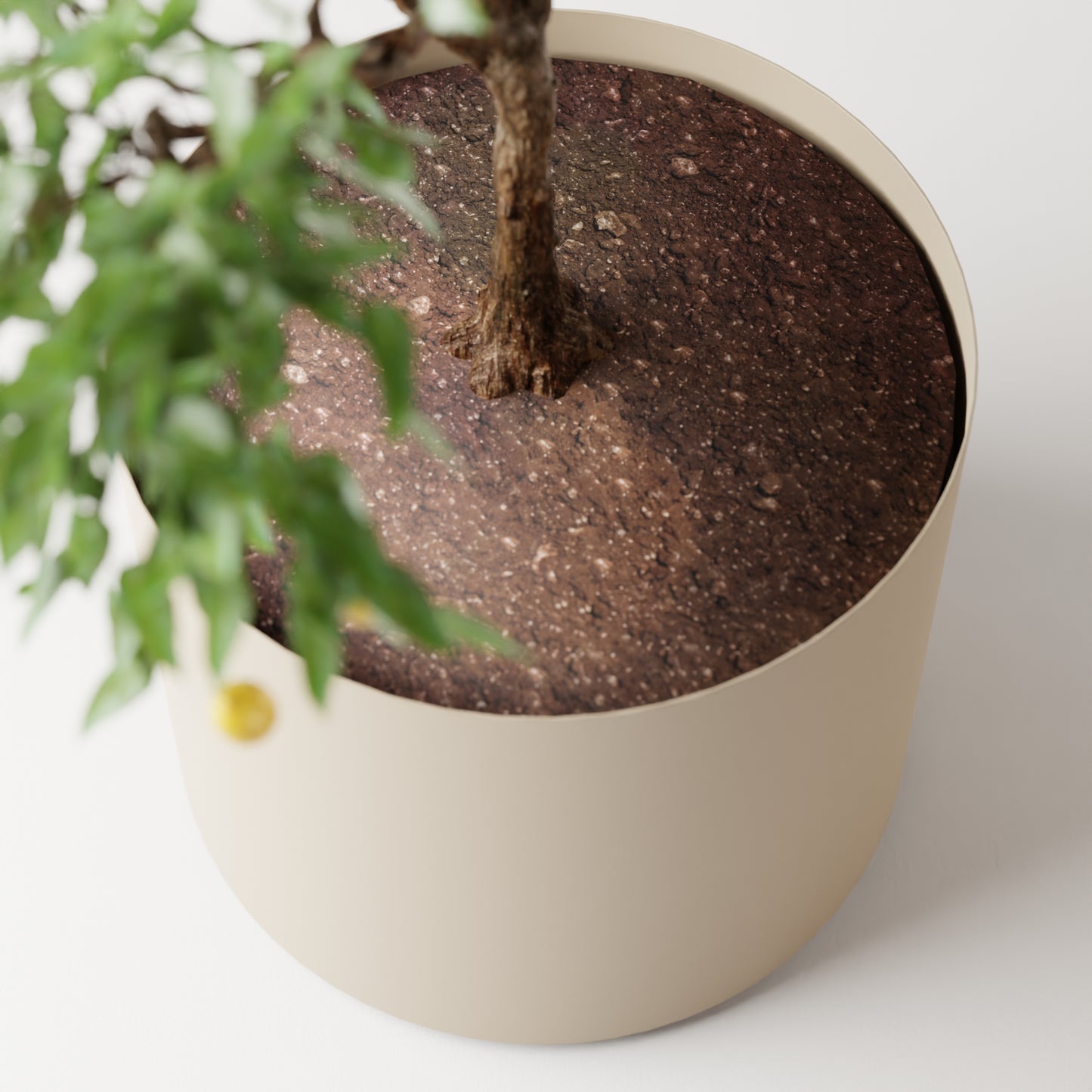 Cosmo Round Planter