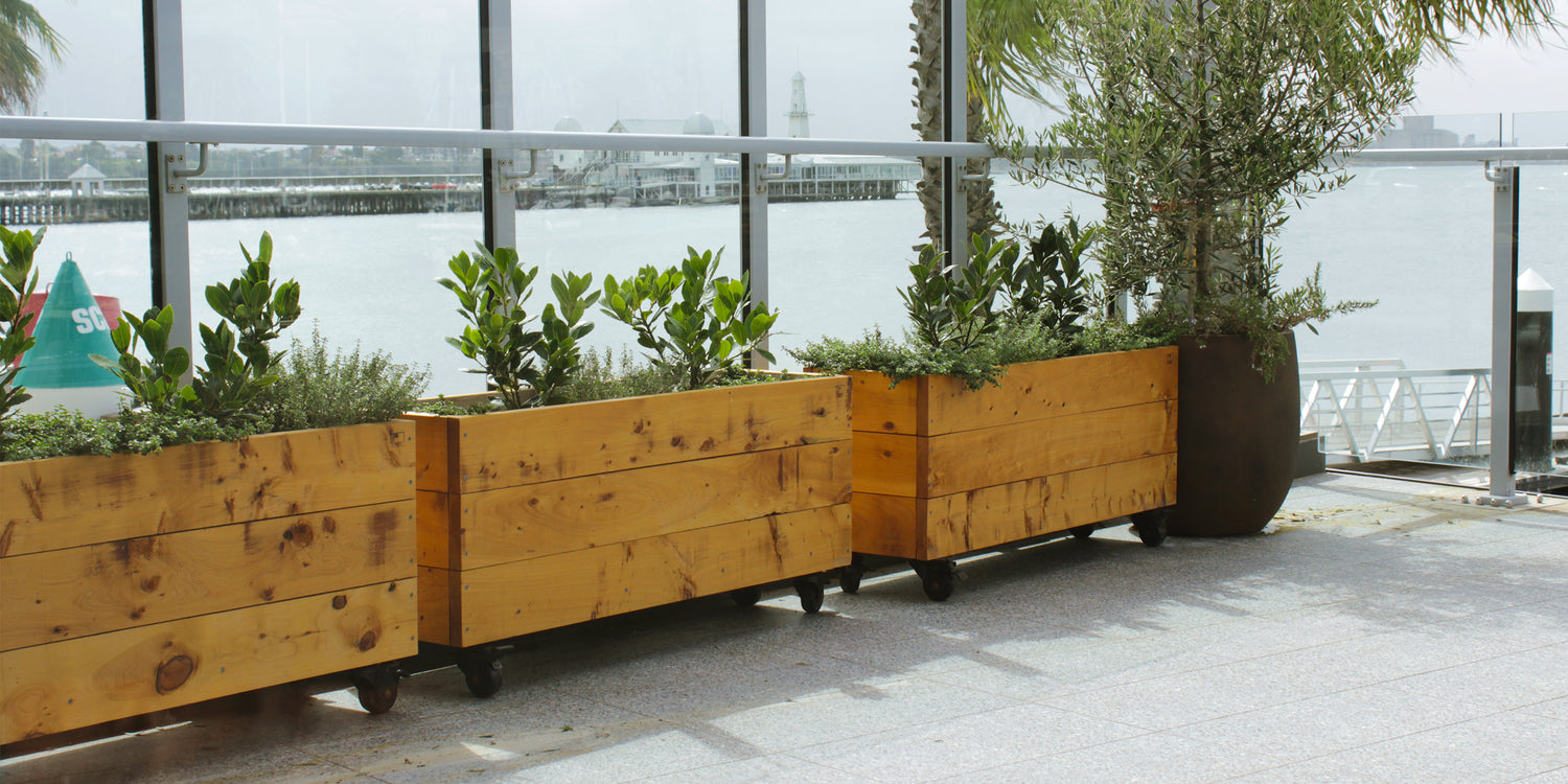 Our herb junior is the best planter box for decorating small spaces. These planter boxes on wheels have been planted with low shrubs and flowering ground cover to add a splash of colour to the roof top terrace. 