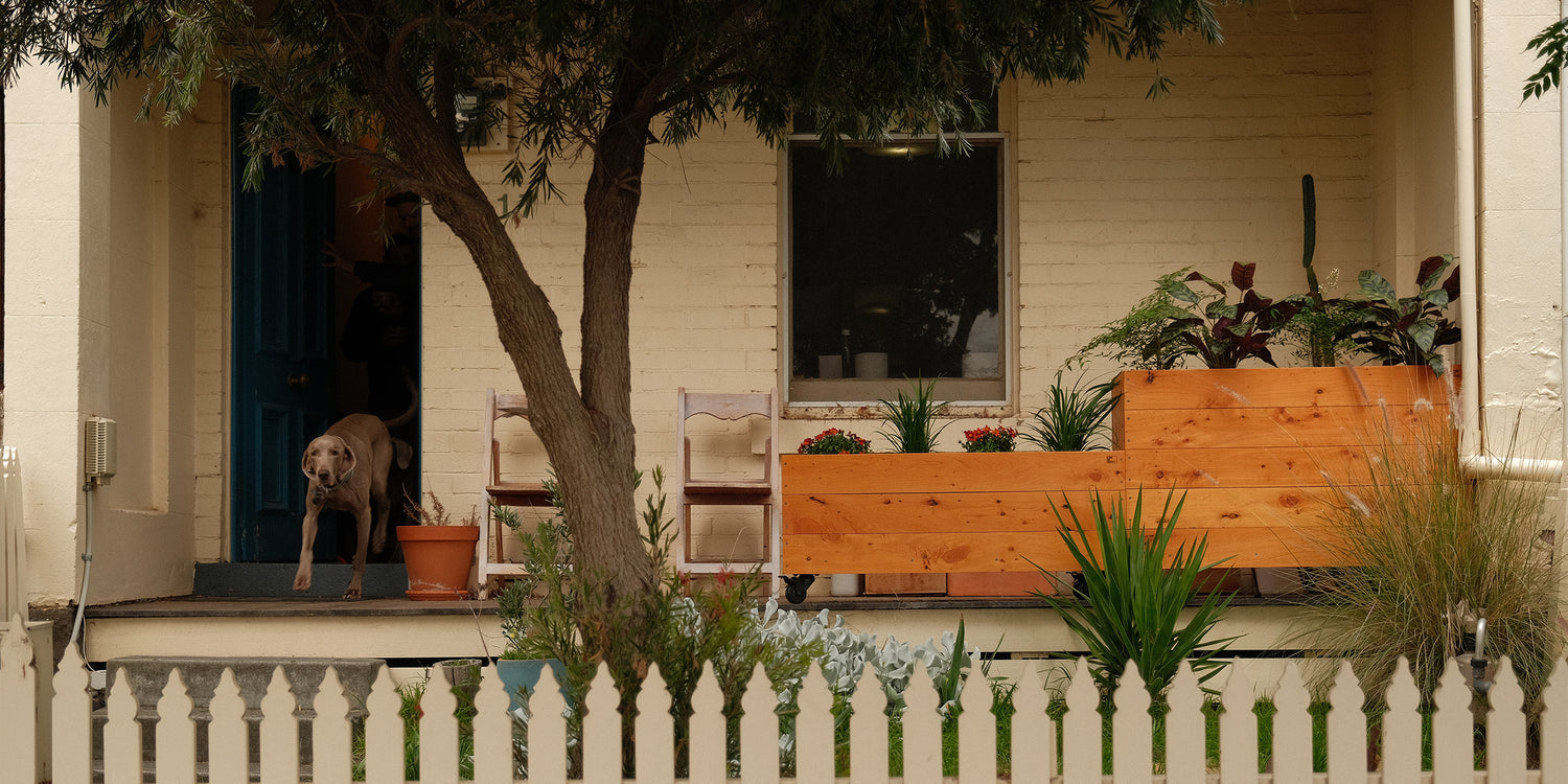 Green up your space! Image of Planter boxes on wheels in front garden of Melbourne terrace house with decorative plants. Best for growing herbs, vegetables and decorative plants in small spaces. 